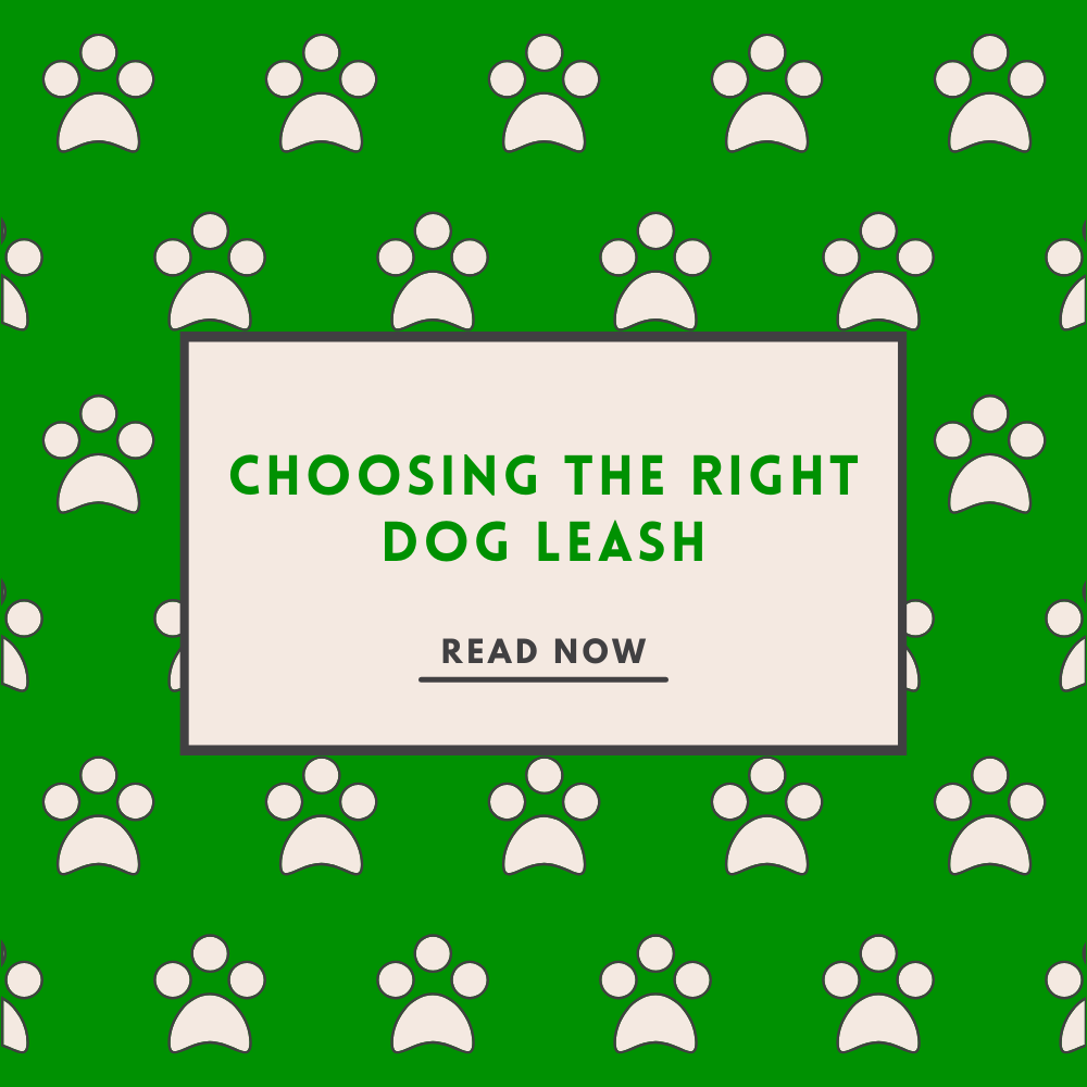Choosing the Right Dog Leash