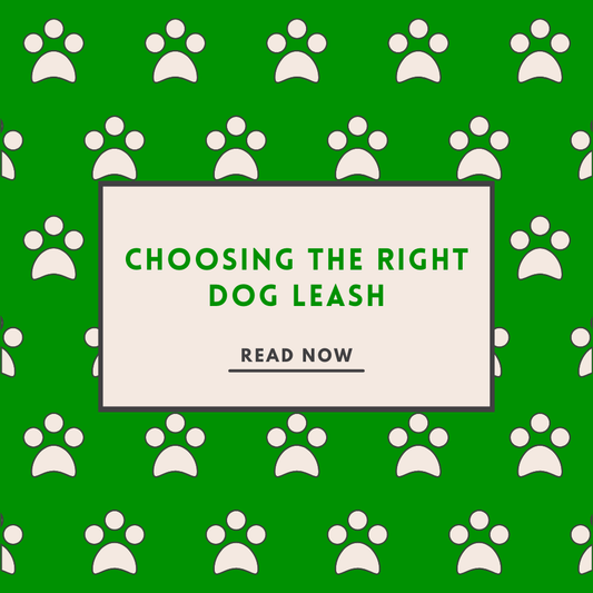 Choosing the Right Dog Leash