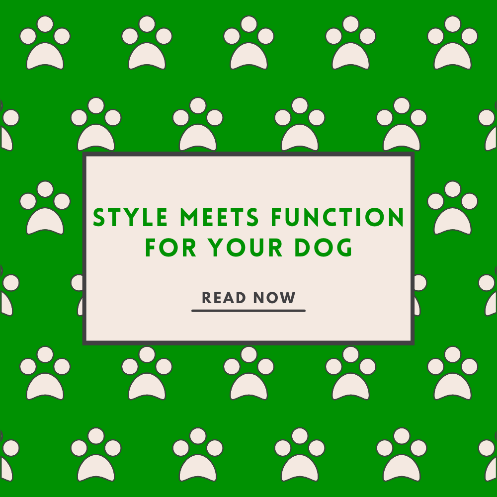 Style Meets Function for Your Dog