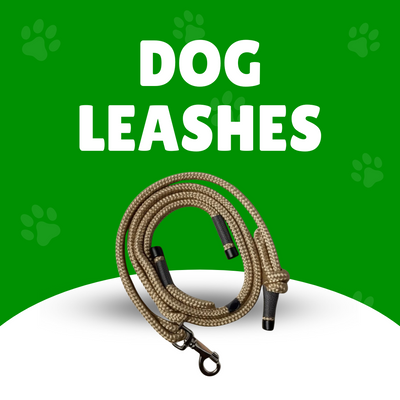 Dog Leashes