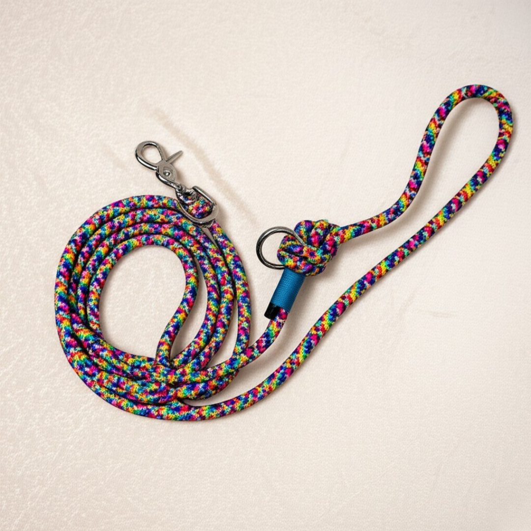 Nerpe - Adventure Dog Leash - Rainbow Edition