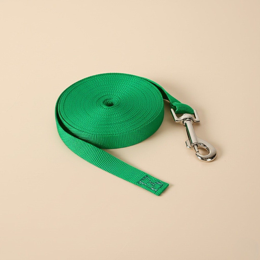 Nerpe - Dog Leash Basic Green
