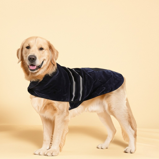 Nerpe - Dog Outerwear - Black